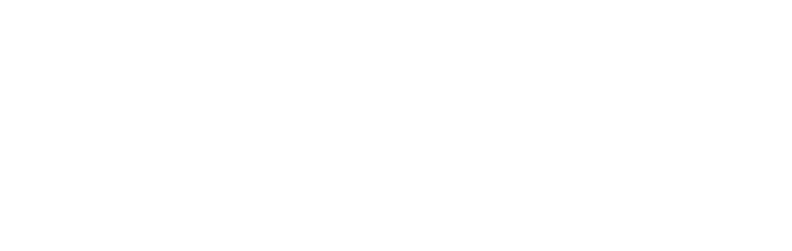 NvidiaLOGO_W